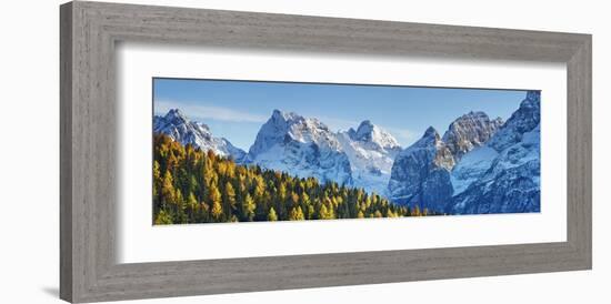 Larch forest and Cima bel Pra, Italy-Frank Krahmer-Framed Giclee Print