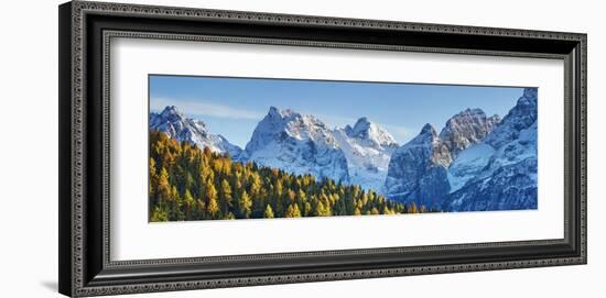 Larch forest and Cima bel Pra, Italy-Frank Krahmer-Framed Giclee Print