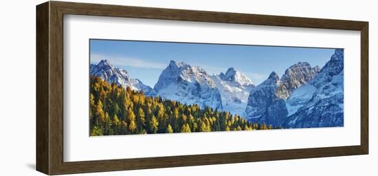 Larch forest and Cima bel Pra, Italy-Frank Krahmer-Framed Giclee Print