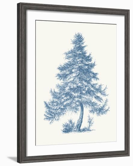 Larch-Maria Mendez-Framed Giclee Print