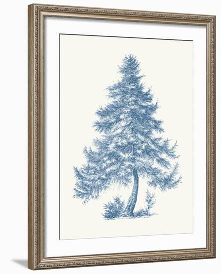 Larch-Maria Mendez-Framed Giclee Print