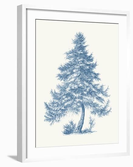 Larch-Maria Mendez-Framed Giclee Print