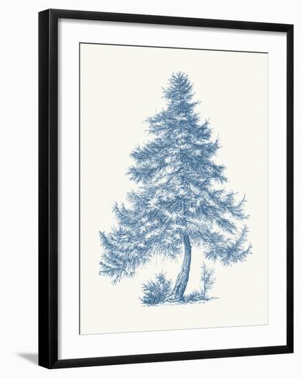 Larch-Maria Mendez-Framed Giclee Print