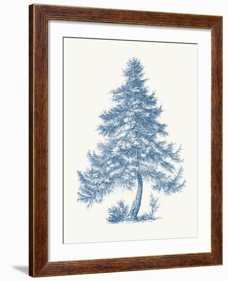 Larch-Maria Mendez-Framed Giclee Print