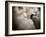 Lare-David Baker-Framed Photographic Print