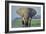 Large African Elephant Bull Feeding Along The-null-Framed Photographic Print