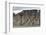 Large alluvial fans along wall of Tempelfjorden, Spitsbergen, Svalbard, Arctic-Tony Waltham-Framed Photographic Print