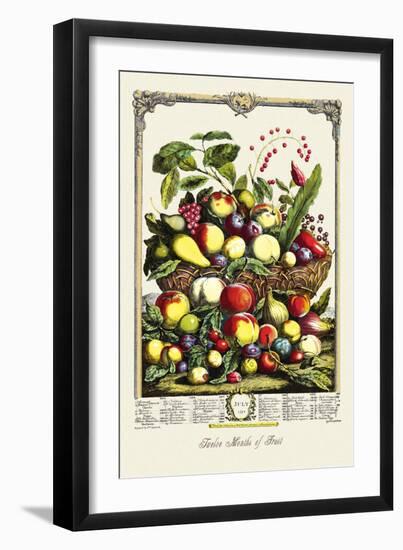 Large Array of Fruits-null-Framed Art Print