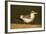 Large-Billed Tern-Joe McDonald-Framed Photographic Print