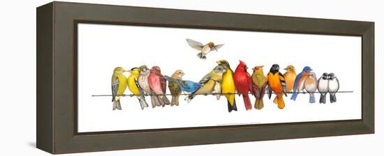 Large Bird Menagerie-Wendy Russell-Framed Stretched Canvas