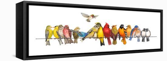 Large Bird Menagerie-Wendy Russell-Framed Stretched Canvas