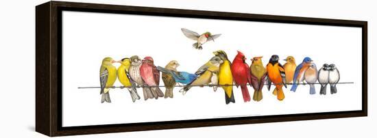 Large Bird Menagerie-Wendy Russell-Framed Stretched Canvas