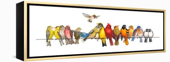 Large Bird Menagerie-Wendy Russell-Framed Stretched Canvas