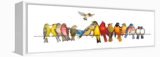Large Bird Menagerie-Wendy Russell-Framed Stretched Canvas