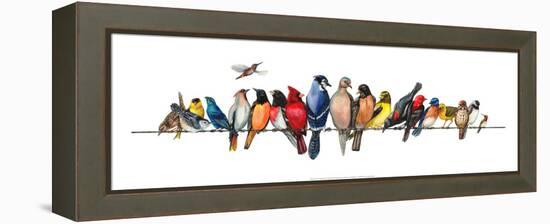 Large Bird Menagerie-Wendy Russell-Framed Stretched Canvas