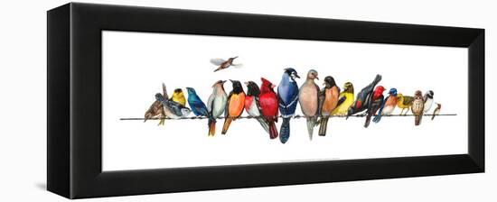 Large Bird Menagerie-Wendy Russell-Framed Stretched Canvas