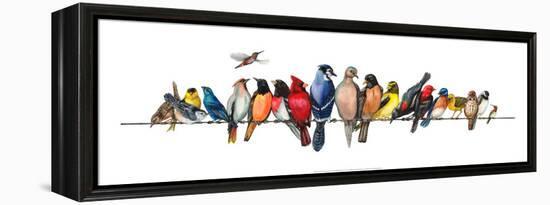 Large Bird Menagerie-Wendy Russell-Framed Stretched Canvas