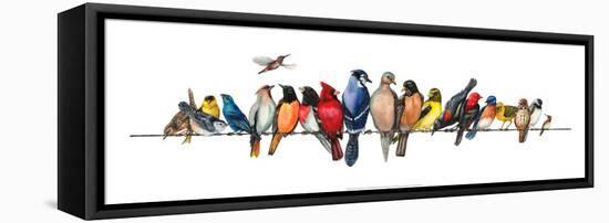 Large Bird Menagerie-Wendy Russell-Framed Stretched Canvas