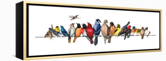 Large Bird Menagerie-Wendy Russell-Framed Stretched Canvas