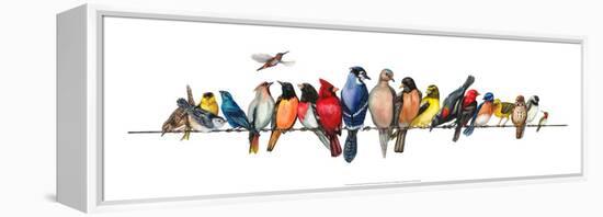 Large Bird Menagerie-Wendy Russell-Framed Stretched Canvas