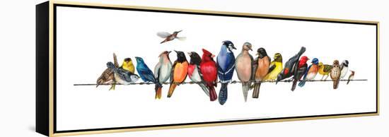 Large Bird Menagerie-Wendy Russell-Framed Stretched Canvas