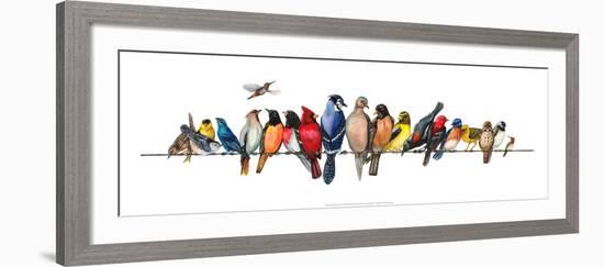 Large Bird Menagerie-Wendy Russell-Framed Art Print