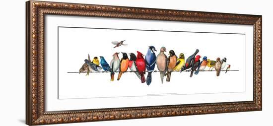 Large Bird Menagerie-Wendy Russell-Framed Art Print