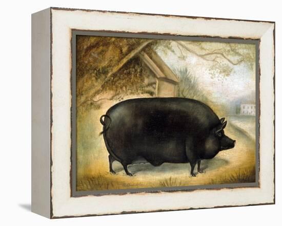 Large Black Pig-Porter Design-Framed Premier Image Canvas