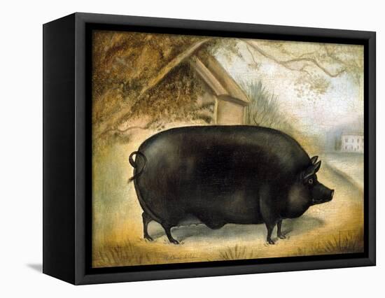 Large Black Pig-Porter Design-Framed Premier Image Canvas