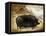 Large Black Pig-Porter Design-Framed Premier Image Canvas