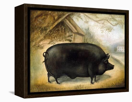 Large Black Pig-Porter Design-Framed Premier Image Canvas