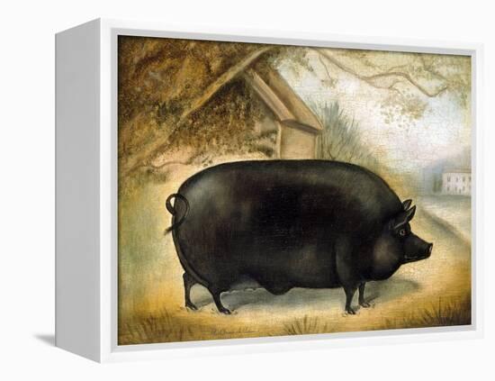 Large Black Pig-Porter Design-Framed Premier Image Canvas