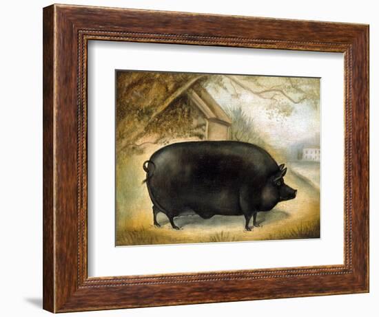 Large Black Pig-Porter Design-Framed Giclee Print