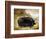 Large Black Pig-Porter Design-Framed Giclee Print