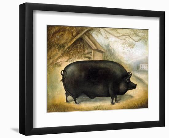 Large Black Pig-Porter Design-Framed Giclee Print