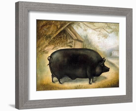 Large Black Pig-Porter Design-Framed Giclee Print