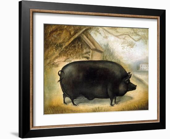 Large Black Pig-Porter Design-Framed Giclee Print