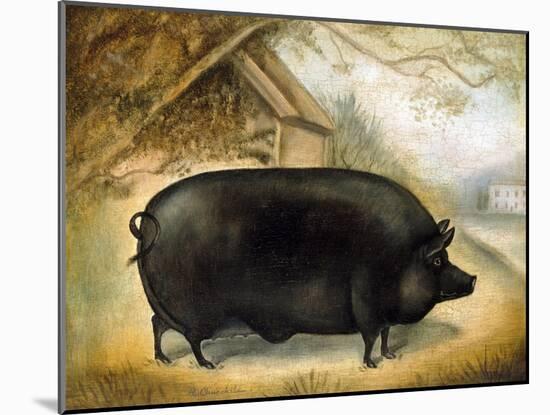 Large Black Pig-Porter Design-Mounted Giclee Print