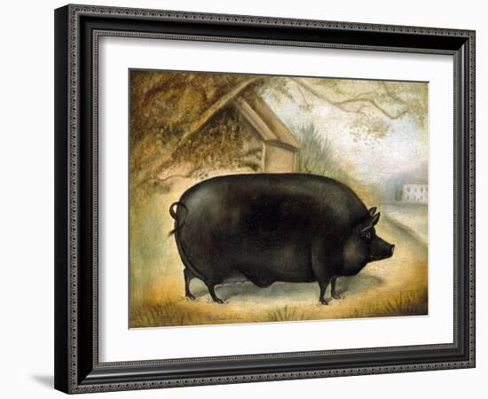 Large Black Pig-Porter Design-Framed Giclee Print