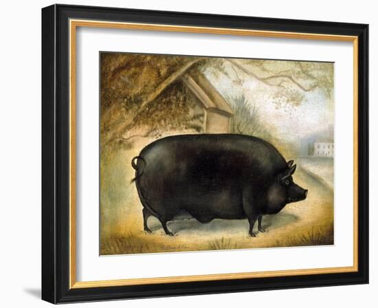 Large Black Pig-Porter Design-Framed Giclee Print