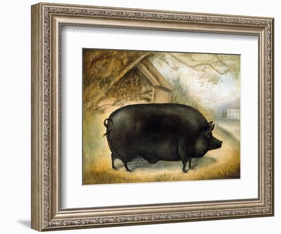Large Black Pig-Porter Design-Framed Premium Giclee Print