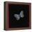 Large Blue Butterfly, 2000-Amelia Kleiser-Framed Premier Image Canvas