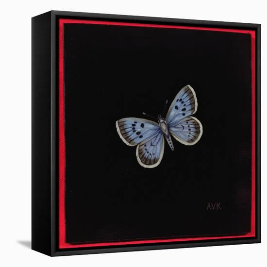 Large Blue Butterfly, 2000-Amelia Kleiser-Framed Premier Image Canvas
