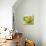 Large Bowl of Fruit I-Ethan Harper-Art Print displayed on a wall