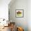 Large Bowl of Fruit III-Ethan Harper-Framed Art Print displayed on a wall