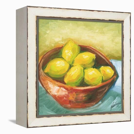 Large Bowl of Fruit IV-Ethan Harper-Framed Stretched Canvas