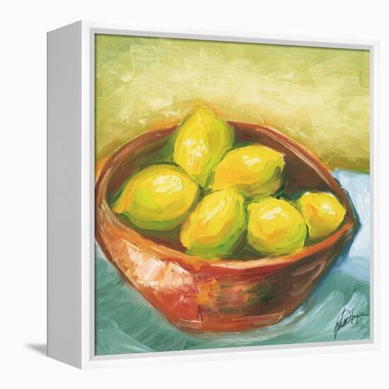 Large Bowl of Fruit IV-Ethan Harper-Framed Stretched Canvas