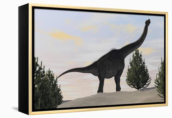 Large Brachiosaurus Amongst Pine Trees-null-Framed Stretched Canvas