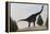 Large Brachiosaurus Amongst Pine Trees-null-Framed Stretched Canvas