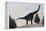 Large Brachiosaurus Amongst Pine Trees-null-Framed Stretched Canvas